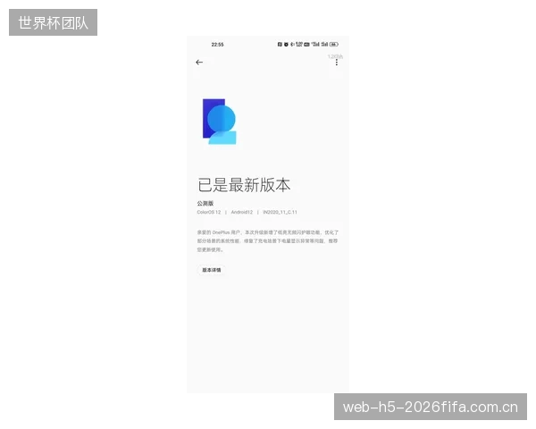 对亮度的盲目崇拜：部分赛道在招标中只考核逆反射系数，却暴露了对抗滑性这一核心安全指标的无知